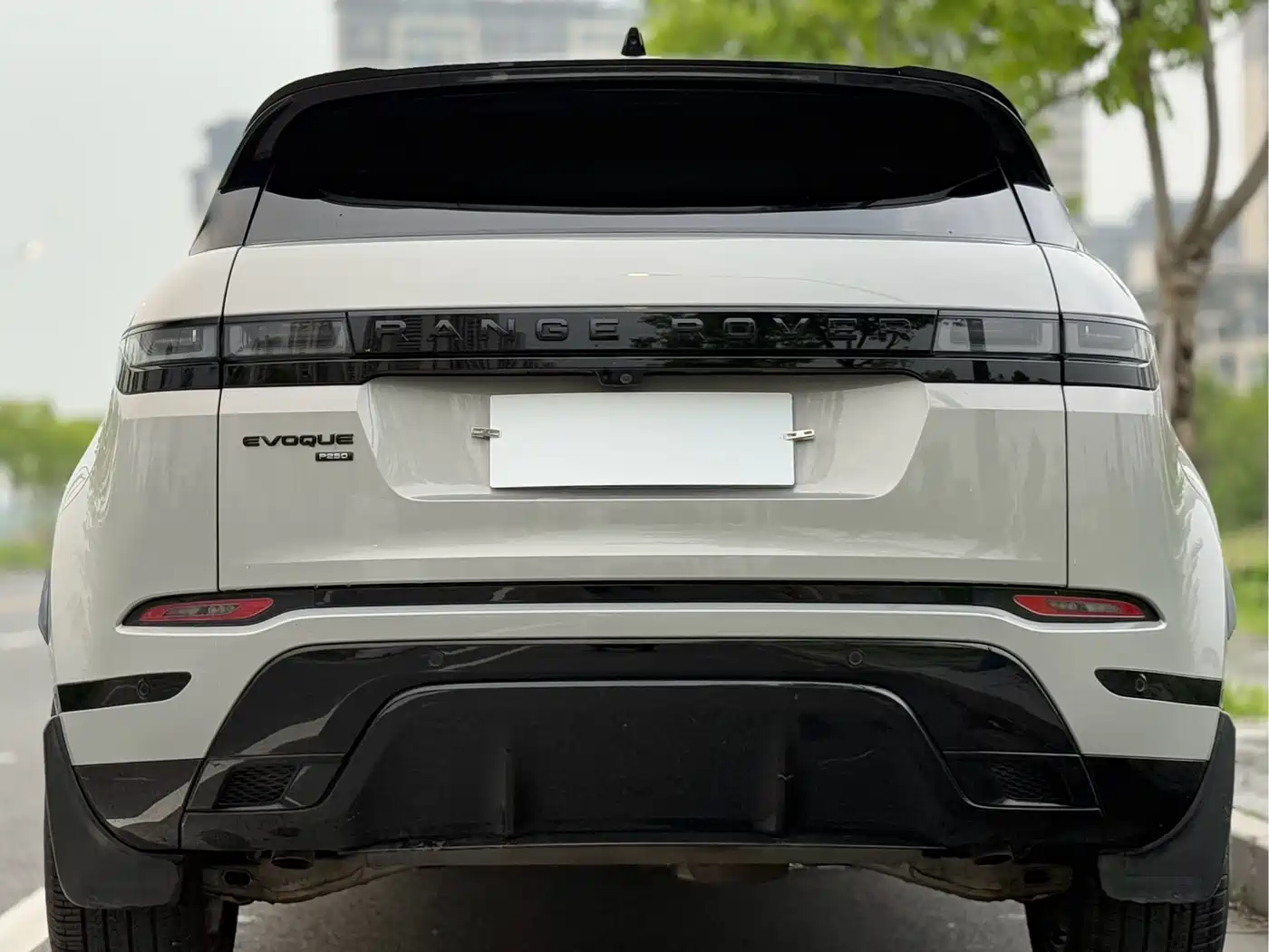 Land Rover Range Rover Evoque 2021 Range Rover Evoque L 249PS R-Dynamic HSE Luxury Edition фото 14