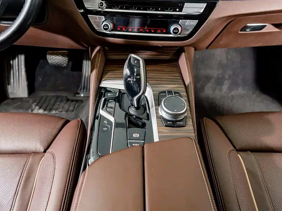 BMW 5 Series 2020 530Li Premium Luxury Package фото 16
