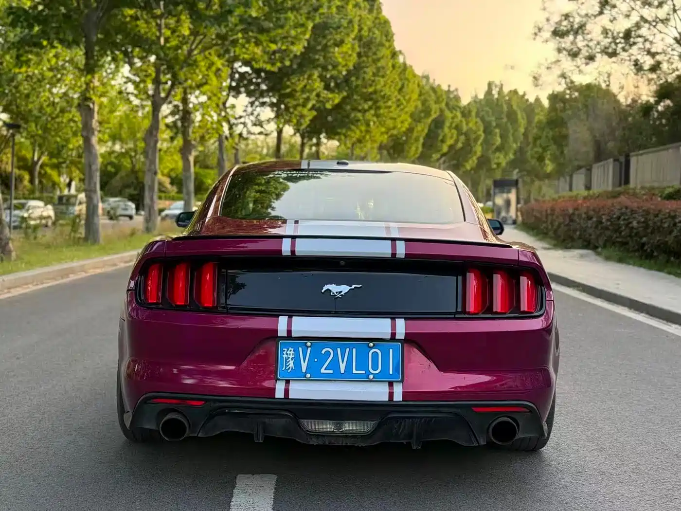 Ford Mustang 2016 2016 2.3T Performance Edition