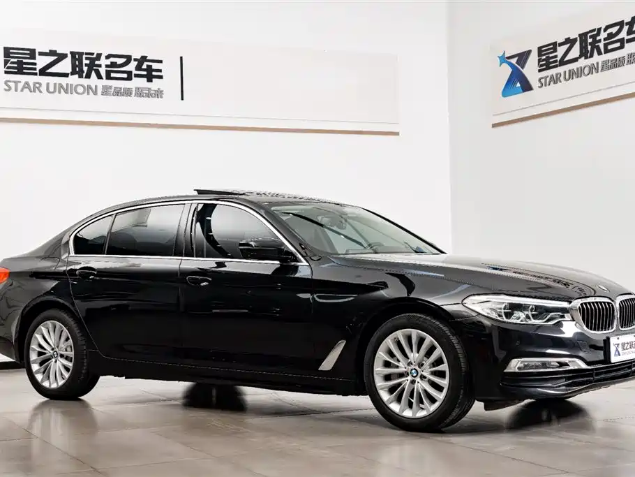 BMW 5 Series 2020 530Li Premium Luxury Package фото 6