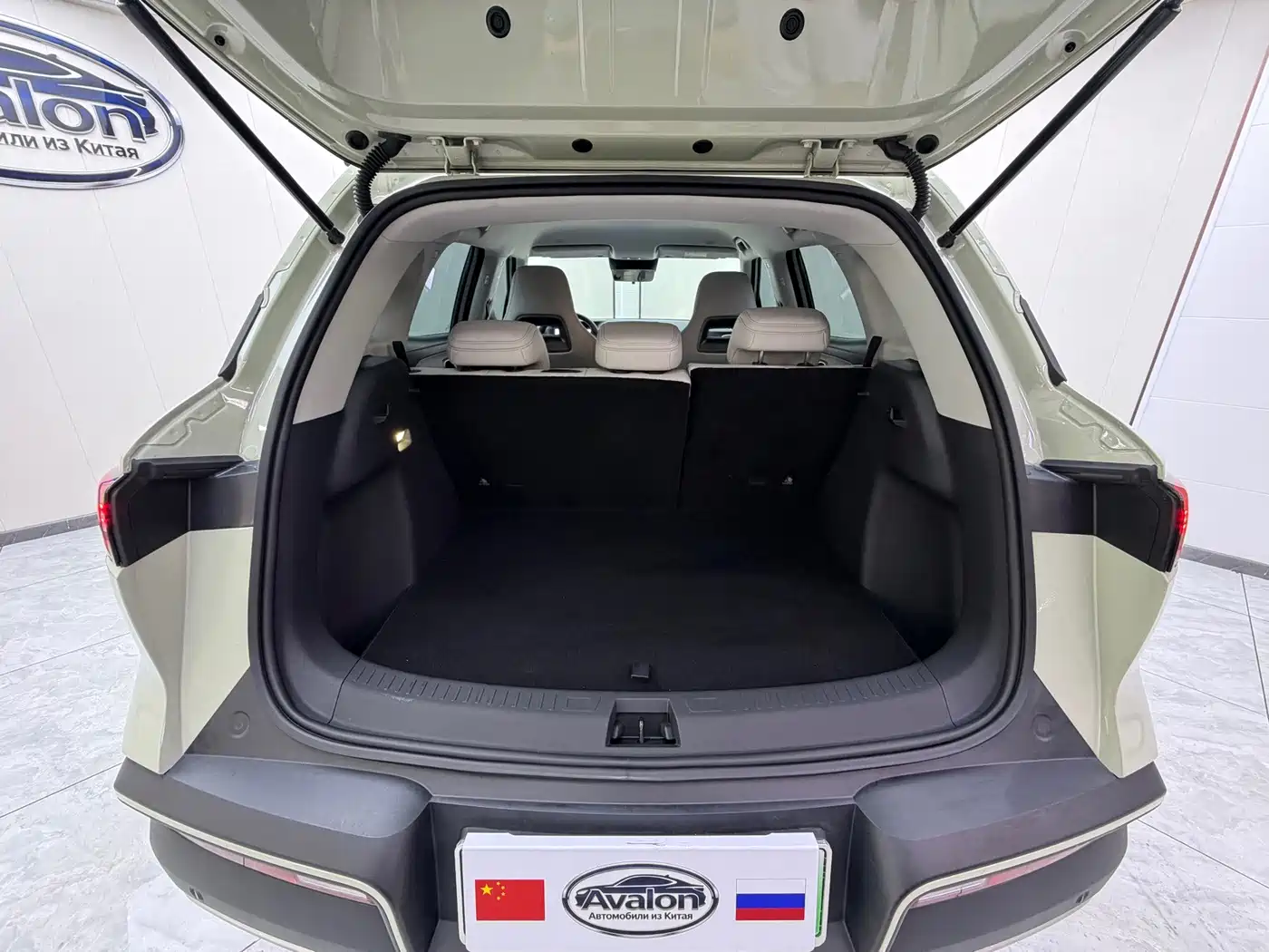 BYD Yuan UP 2025 2025 Smart Drive Edition 401KM Vitality Version