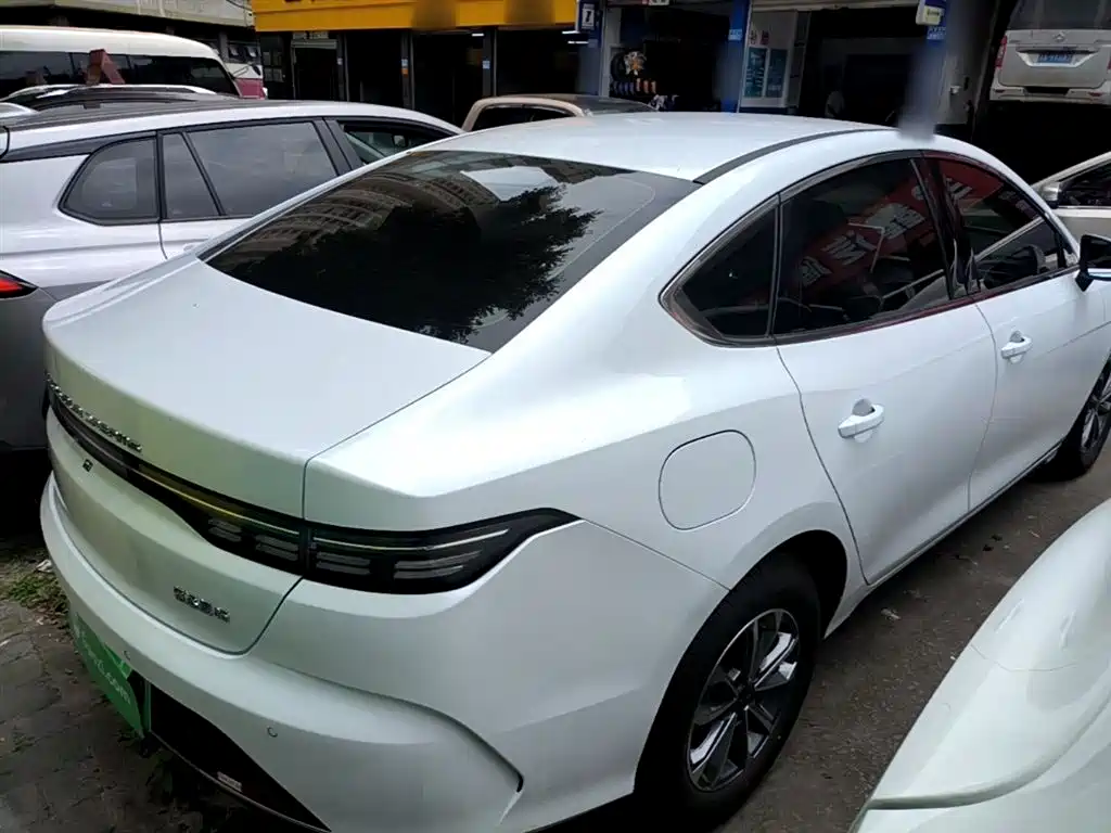 BYD Destroyer 05 2024 Glory Edition DM-i 55KM Luxury фото 7