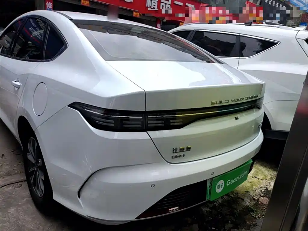 BYD Destroyer 05 2024 Glory Edition DM-i 55KM Luxury фото 6