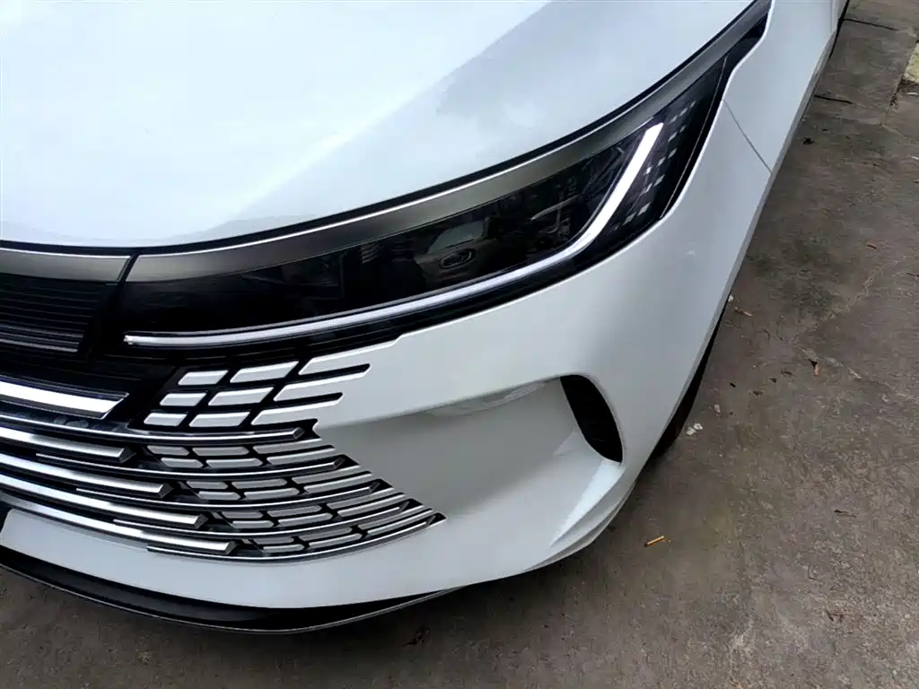 BYD Destroyer 05 2024 Glory Edition DM-i 55KM Luxury фото 24