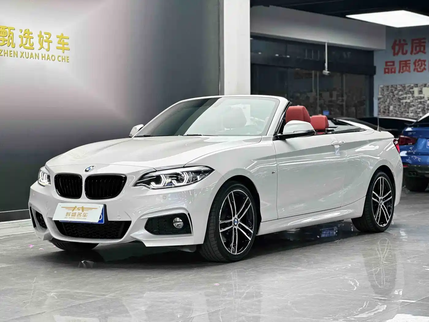 BMW 2 Series (Import) 2019 225i Convertible Coupe Exclusive M Sport Package