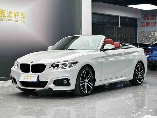 BMW 2 Series (Import) 2019 225i Convertible Coupe Exclusive M Sport Package