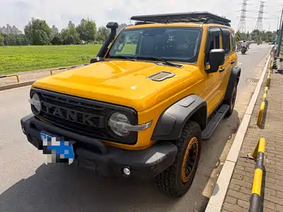 Tank 300