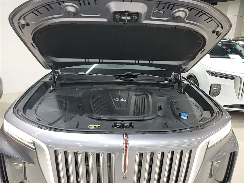 Hongqi E-HS9 2022 660km Qi Chang Edition (6-seater) фото 20