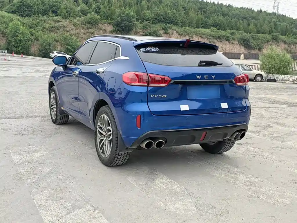 WEY VV5 2018 2017 2.0T Super Luxury Model