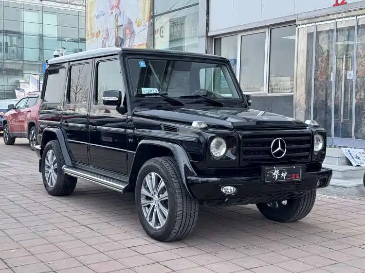 Mercedes-Benz G-Class 2010 G 500 фото 3