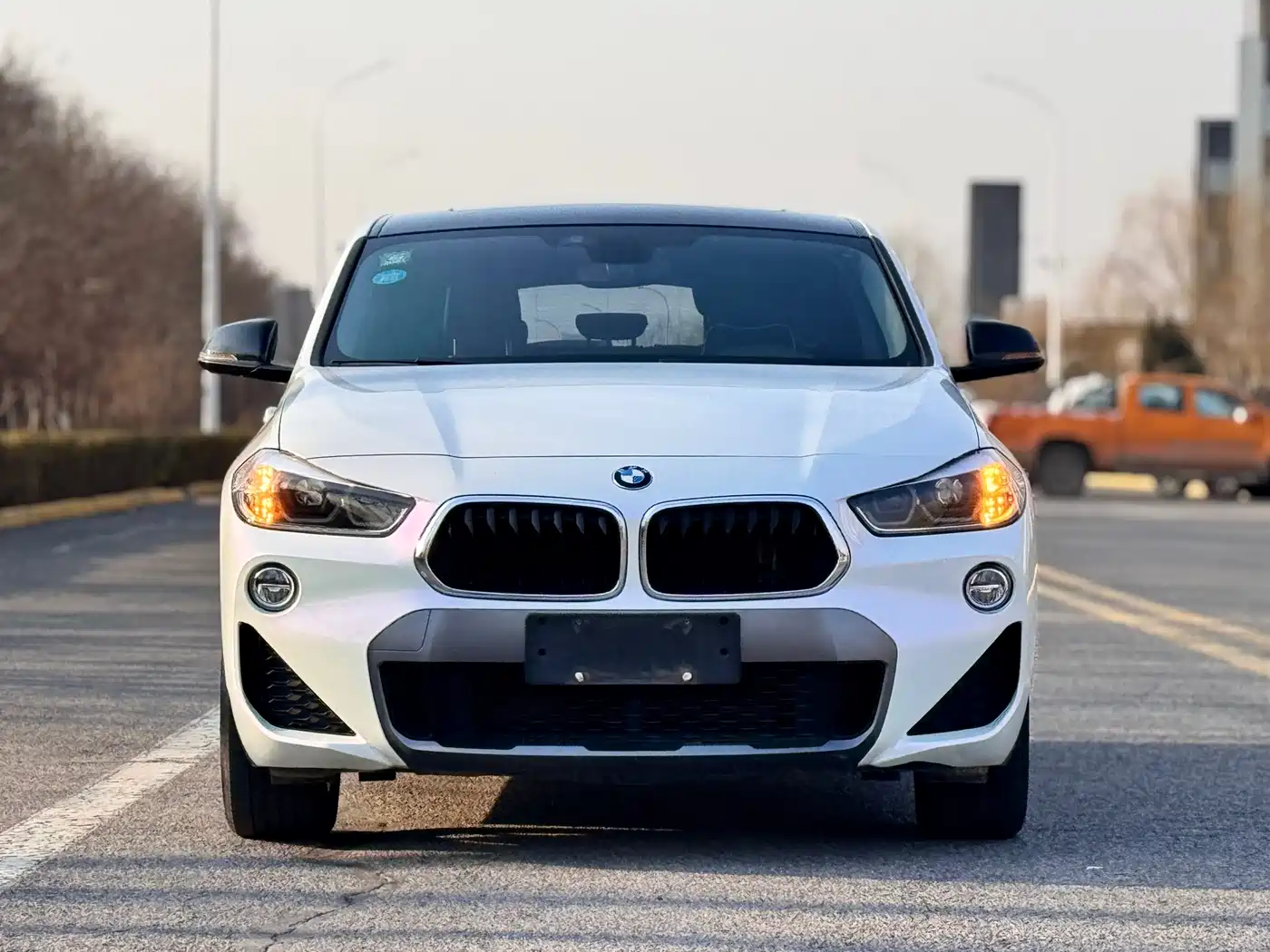 BMW X2 (Import) 2019 sDrive20i M Off-Road Package China VI фото 2