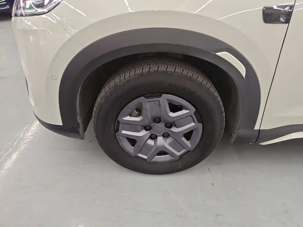 BYD Yuan UP 2026 2025 Smart Drive Edition 401KM Vitality Version