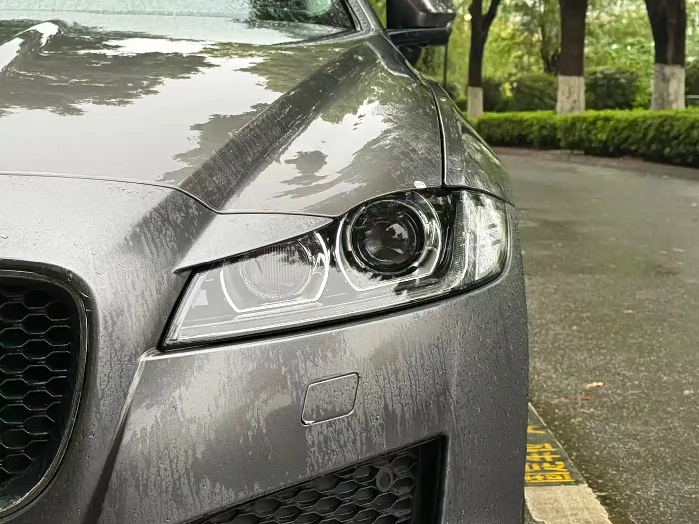 Jaguar XF 2016 2016 XF 2.0T 2WD Elegance Edition