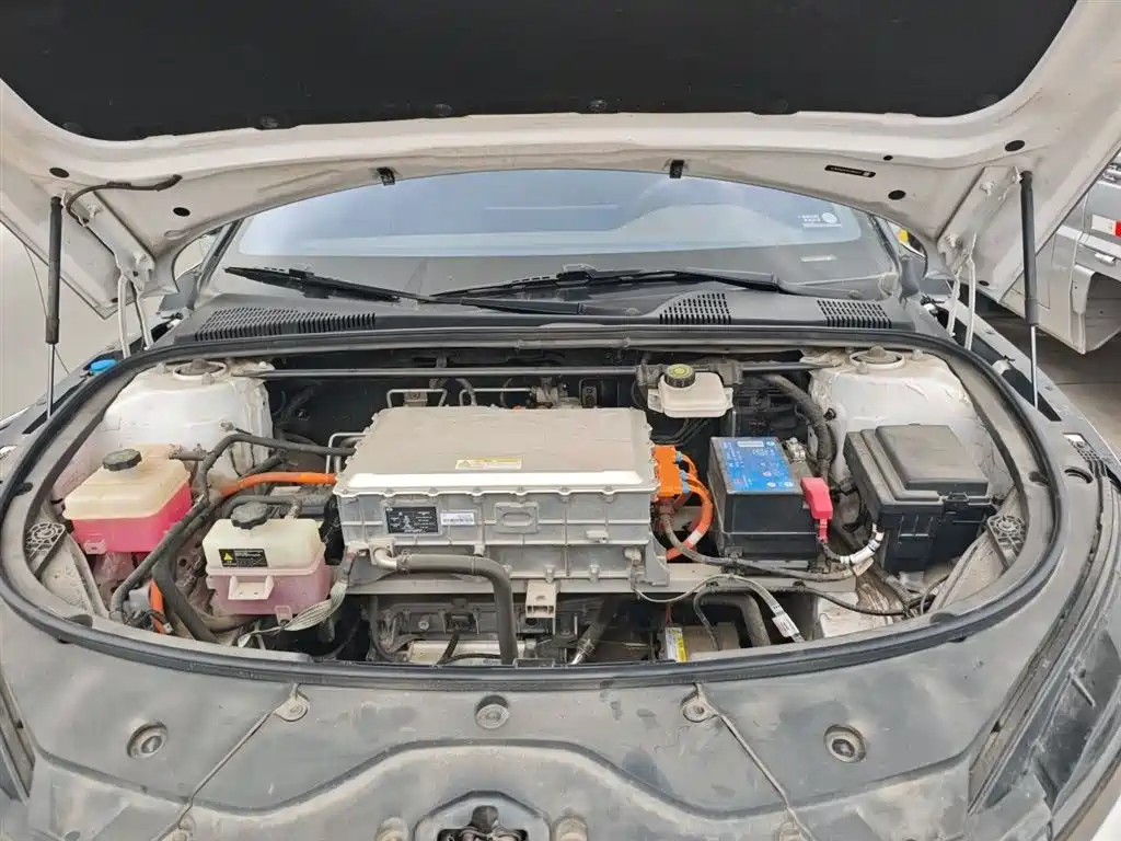 BYD Han 2021 EV Standard Range Luxury фото 11