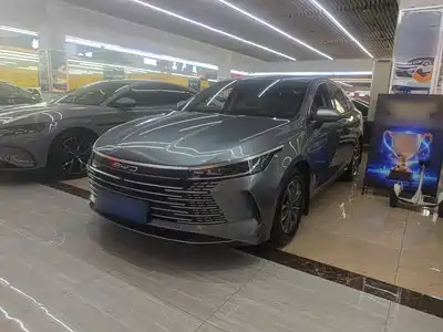 BYD Destroyer 05