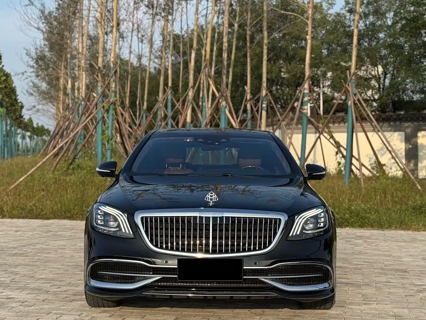 Mercedes-Benz Maybach S-Class 2019 S 450 4MATIC фото 3