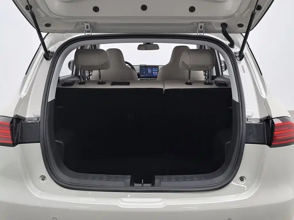 Wuling Motors Wuling Binguo PLUS 2025 2024 510km Range 5-seater