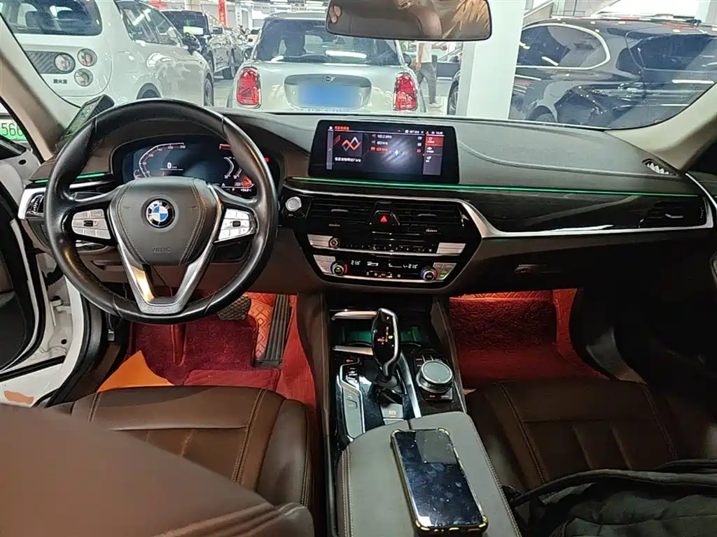 BMW 5 Series 2020 525Li Luxury Package фото 10