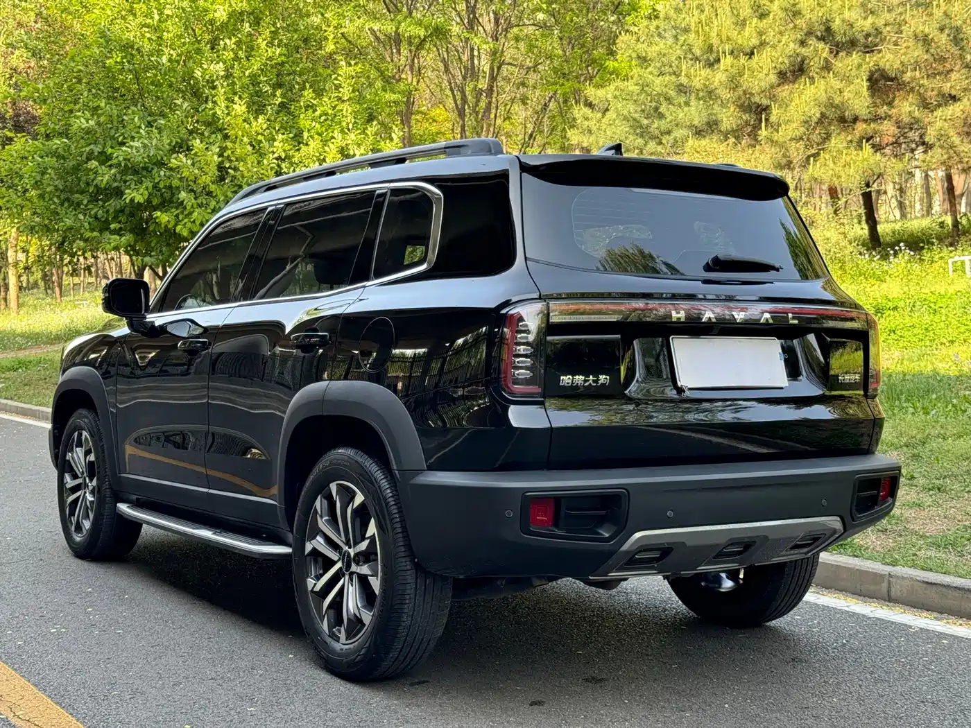 Haval Big Dog 2024 1.5T DCT Border Collie Edition фото 20