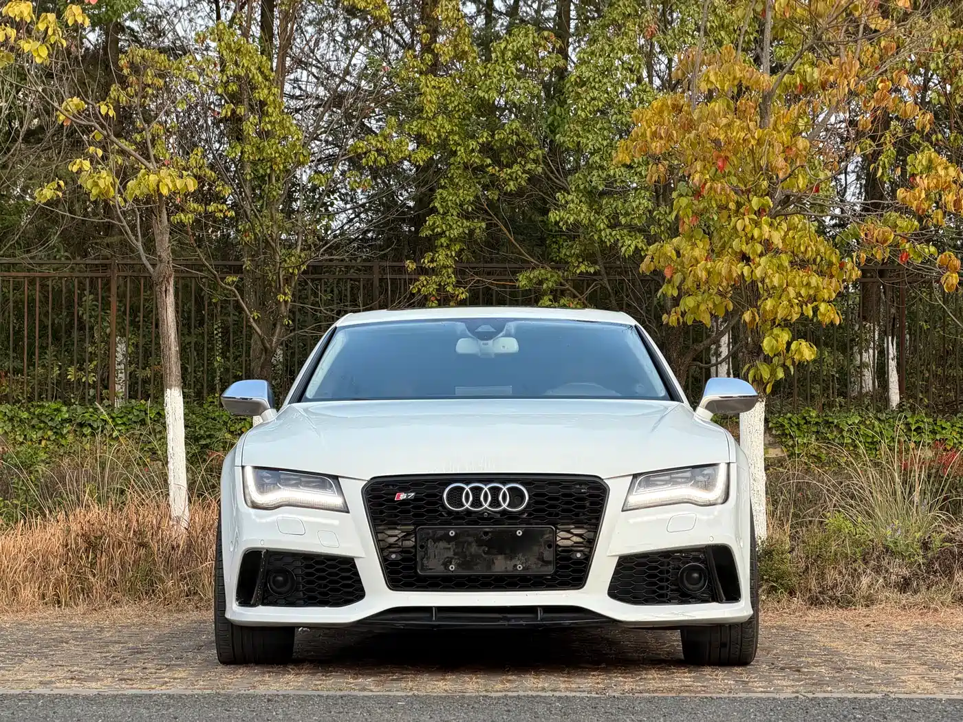 Audi S7 2013 4.0 TFSI quattro фото 2
