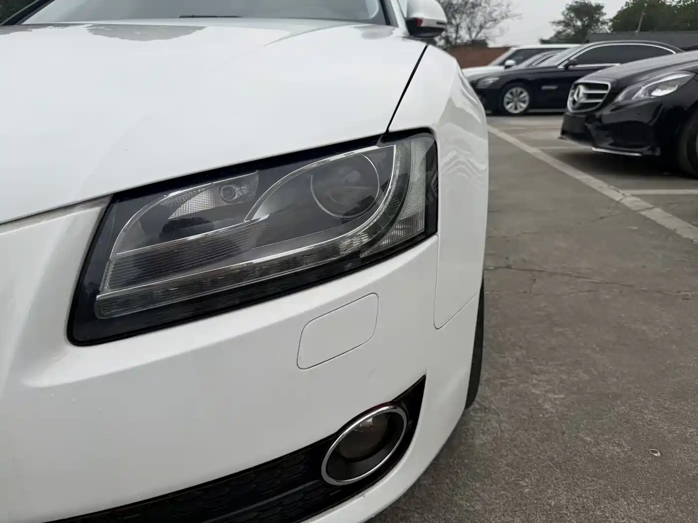 Audi A5 (Import) 2010 3.2 coupe quattro фото 7