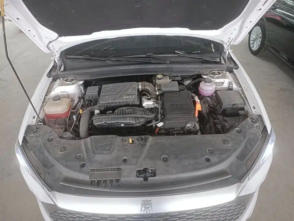 BYD Qin PLUS 2023 Champion Edition DM-i 55KM Leading фото 20