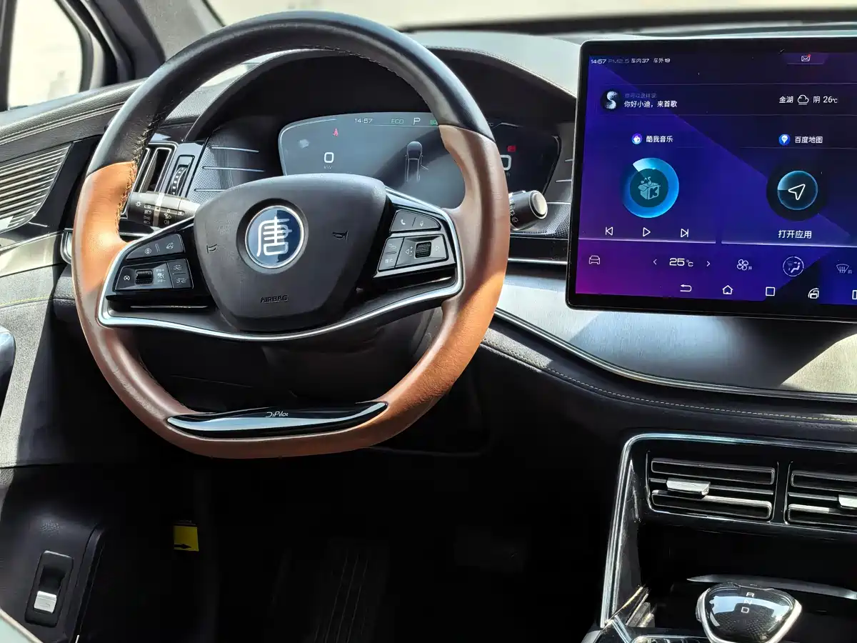 BYD Tang New Energy 2021 EV AWD High Performance Genesis Flagship фото 9