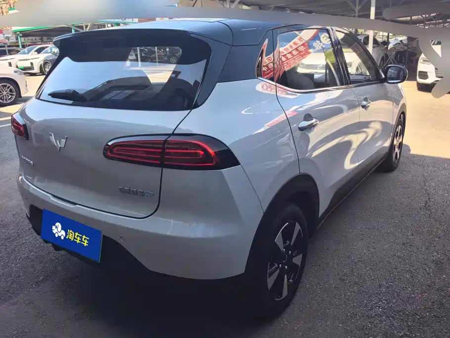 Wuling Motors Wuling Binguo PLUS 2026 2024 Model 330km 5-Seater