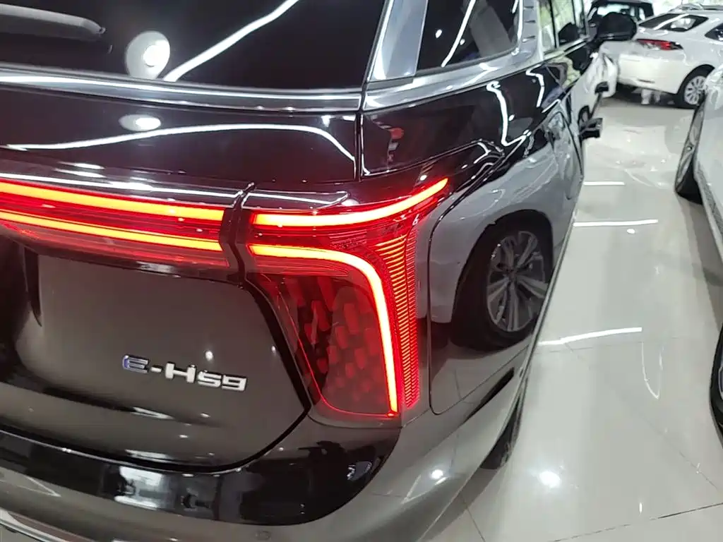 Hongqi E-HS9 2022 660km Qi Chang Edition (6-seater) фото 8