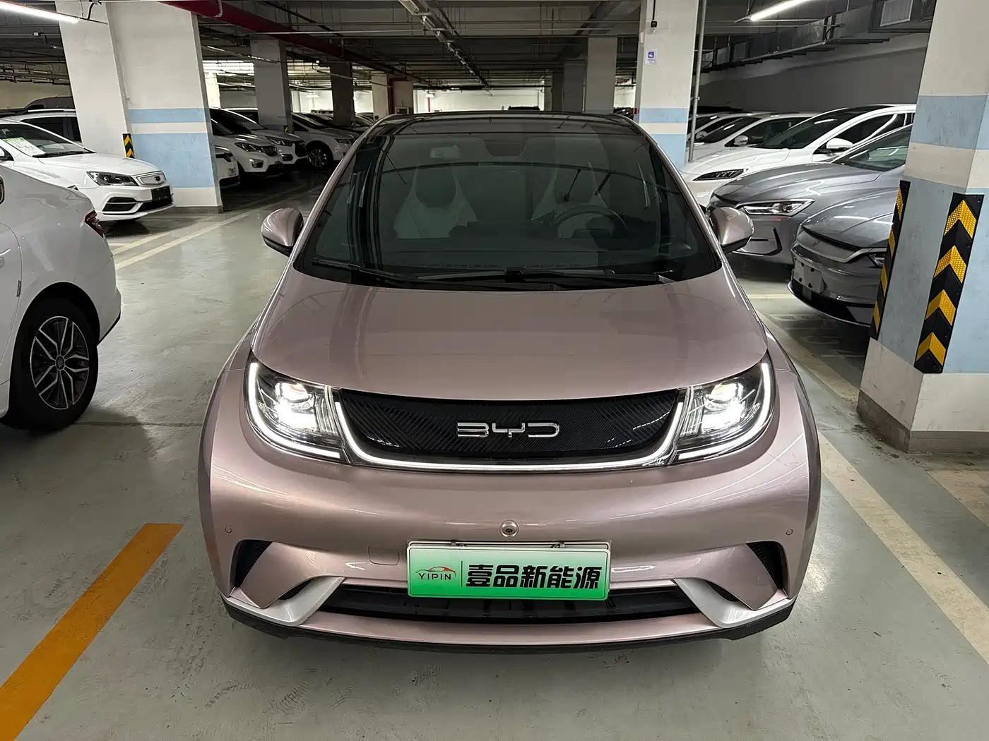 BYD DOLPHIN