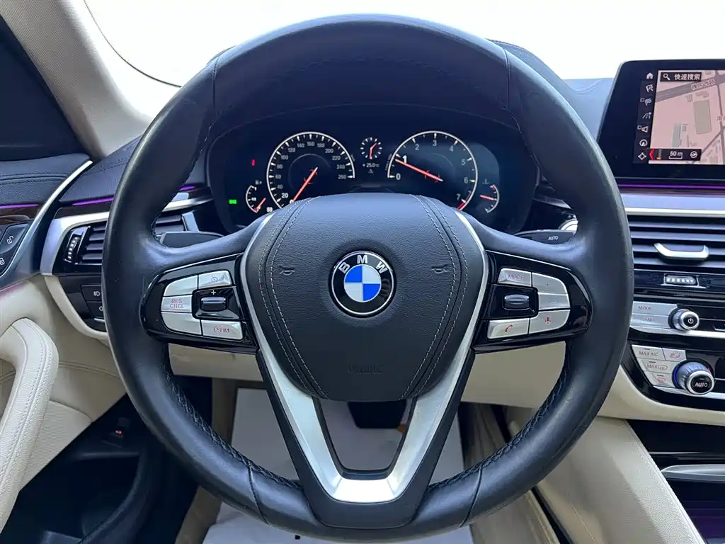 BMW 5 Series 2019 525Li Luxury Package фото 11