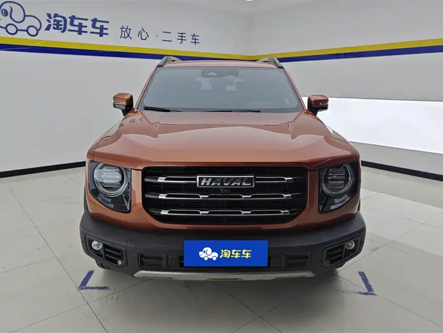 HAVAL BIG DOG