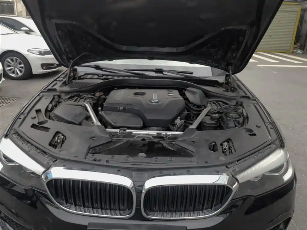BMW 5 Series 2020 525Li M Sport Package фото 20