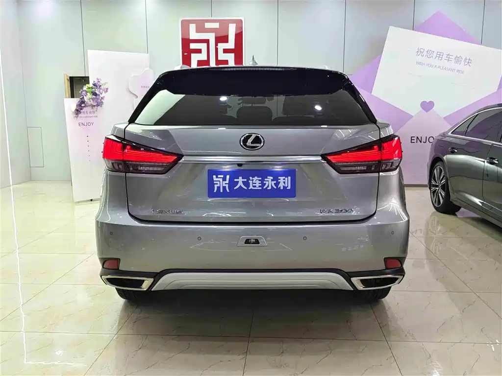 Lexus RX 2020 300 2WD Elite Edition China VI фото 5