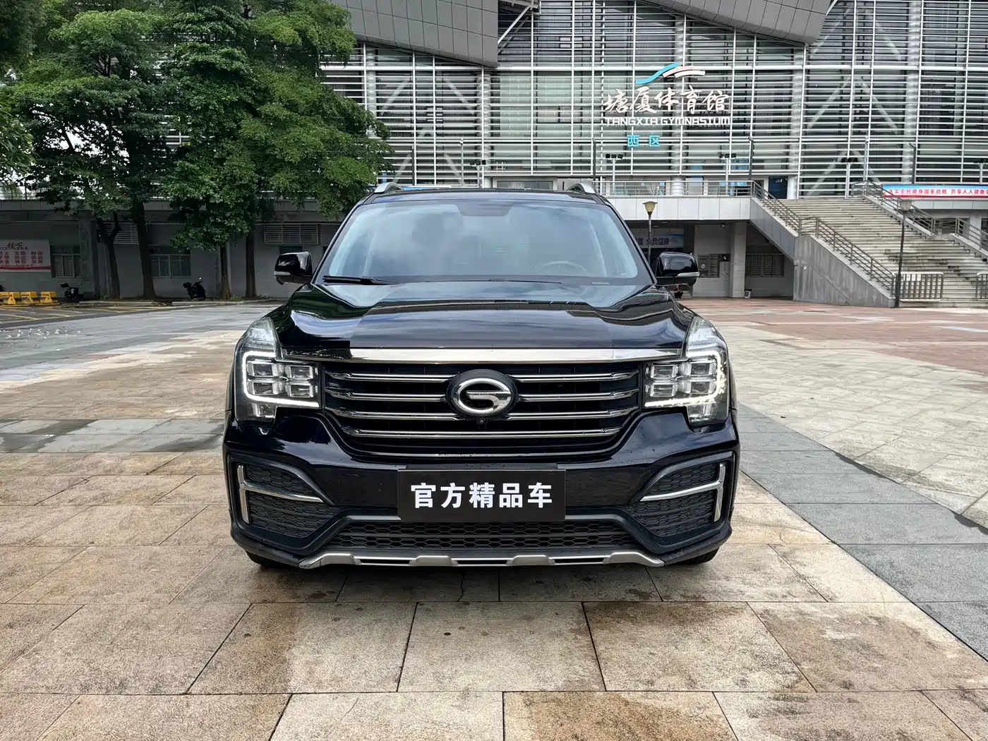 GAC Trumpchi Trumpchi GS8 2020 Model 390T FWD Luxury Smart Connect (7-seater) фото 5
