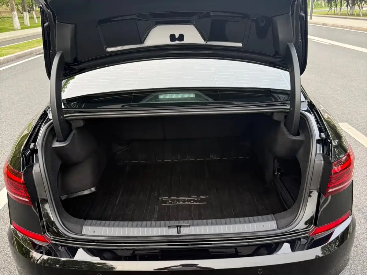 Volkswagen Passat 2025 Outstanding 380TSI Starlight Dragon Soaring Edition фото 14