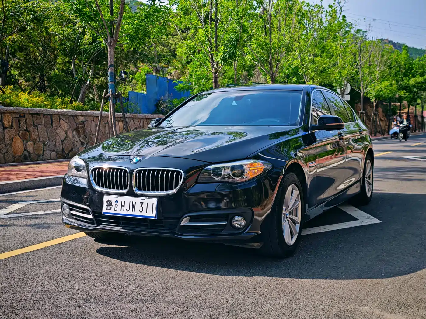 BMW 5 Series 2014 520Li Elegance