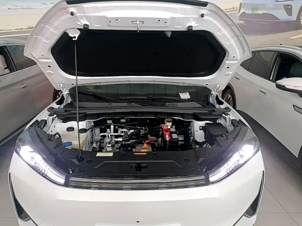 Photo 20 - Dongfeng Aeolus Dongfeng Fengshen L7