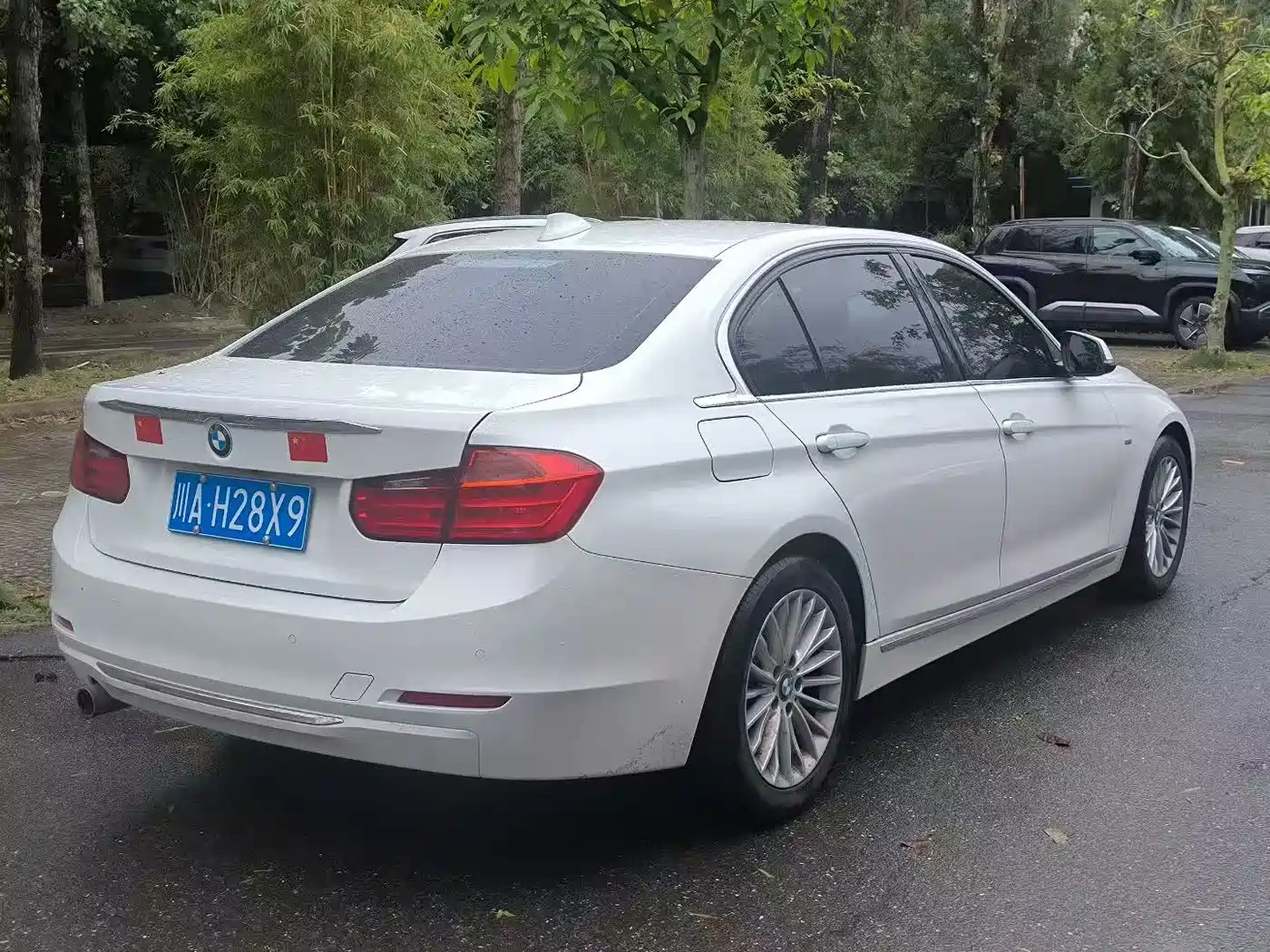 BMW 3 Series 2014 320Li Luxury Design Package фото 9