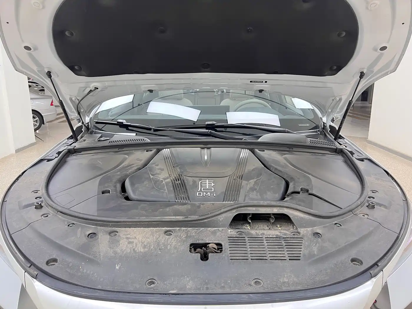 BYD Tang New Energy 2024 DM-i Honor Edition 112KM Premium фото 31