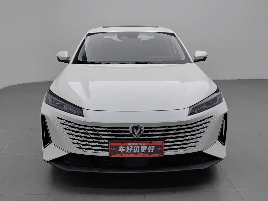 Changan Yida 2023 2023 Blue Whale NE 1.5T GDI DCT Flagship