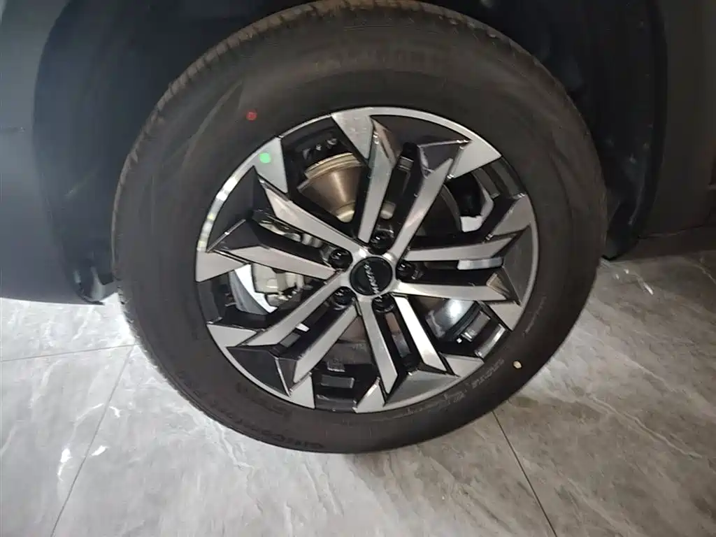 Haval Big Dog 2026 Model 1.5T High Configuration фото 23