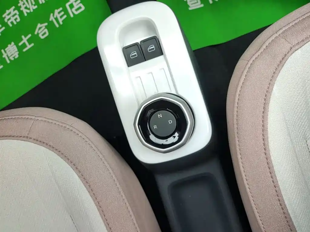 Geely Galaxy Panda 2025 Panda mini 210km Vitality Bear фото 14