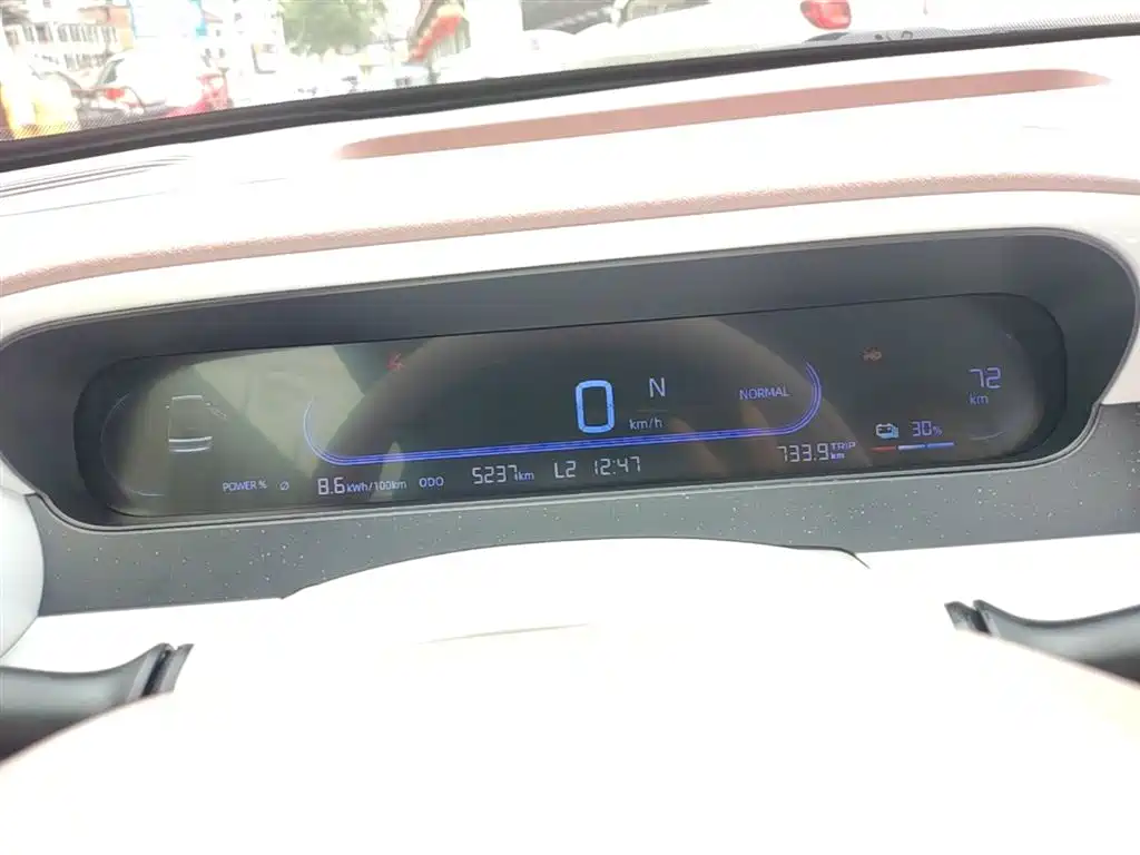 Geely Galaxy Panda 2025 Panda mini 210km Vitality Bear фото 12