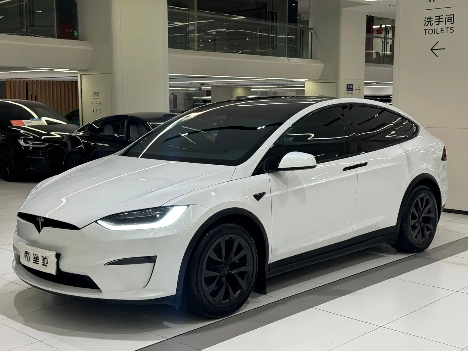 Фото 19 - Tesla Model X