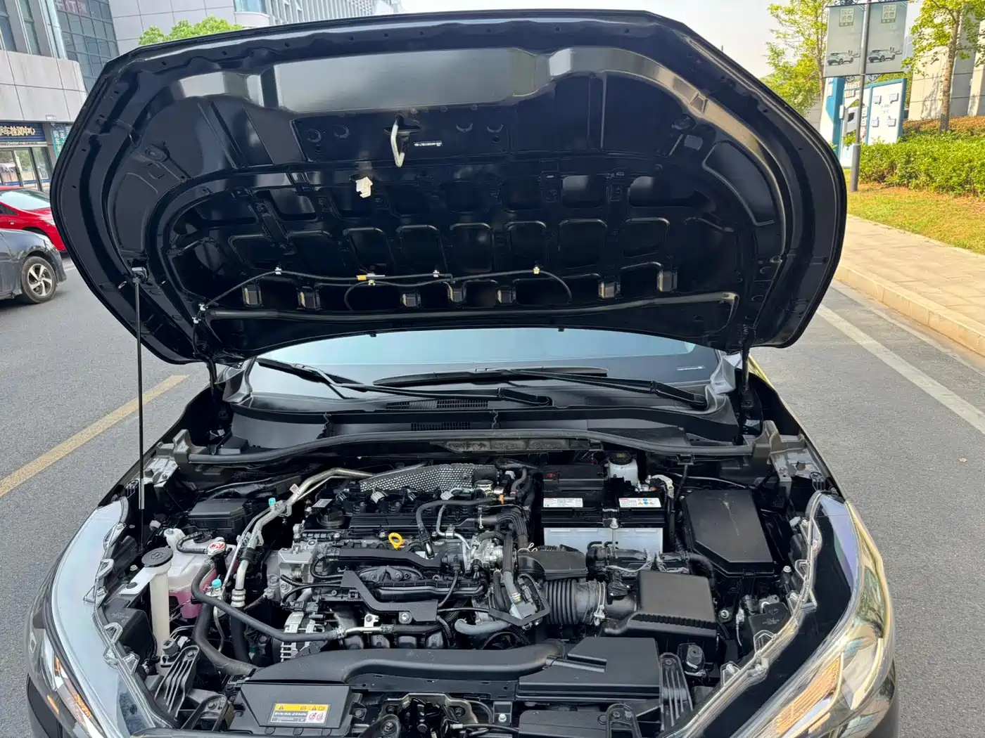 Toyota Corolla Cross 2025 2024 Model 2.0L Pioneer Edition