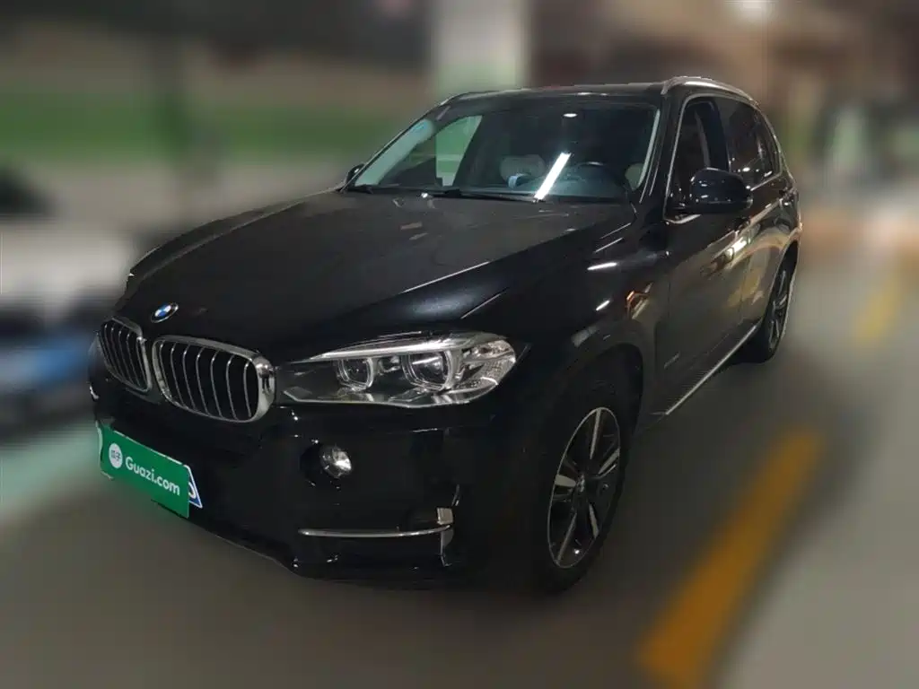BMW X5 (Import) 2017 xDrive35i Elegance фото 2