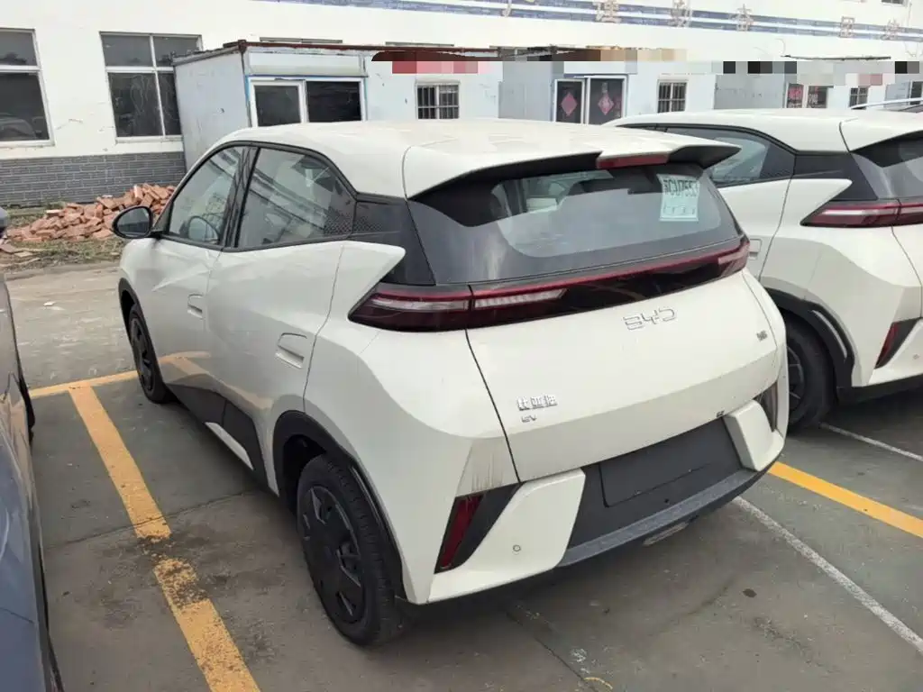 BYD Seagull 2026 2025 Smart Drive Edition 305km Vitality Version