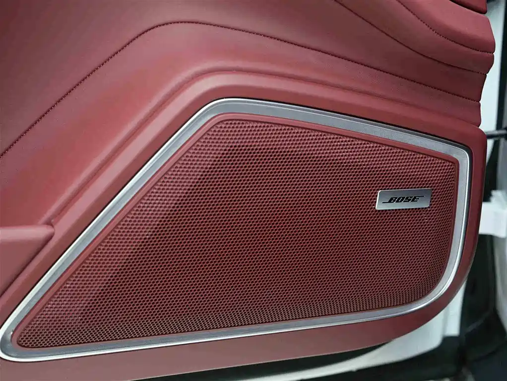 Porsche Panamera 2023 Panamera 2.9T Platinum Edition фото 16