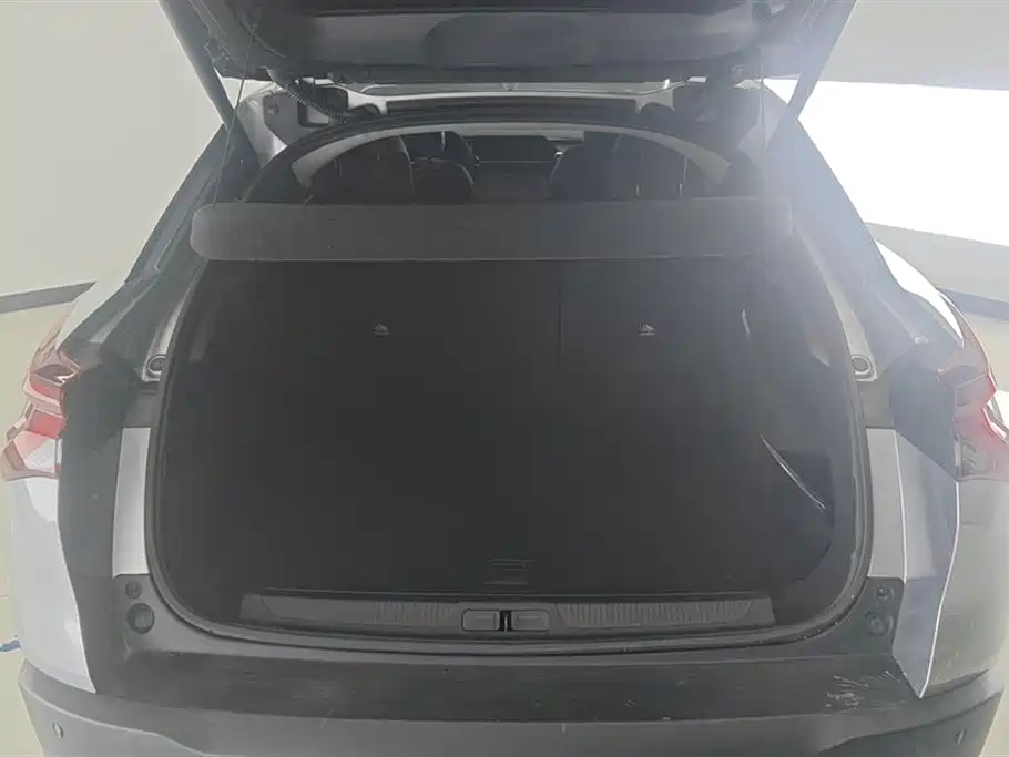 CITROEN VERSAILLES C5 X